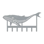 A detailed steel key rack depicting a humpback whale with intricate cutouts. The whale design is sleek and modern, featuring seven hooks for keys.